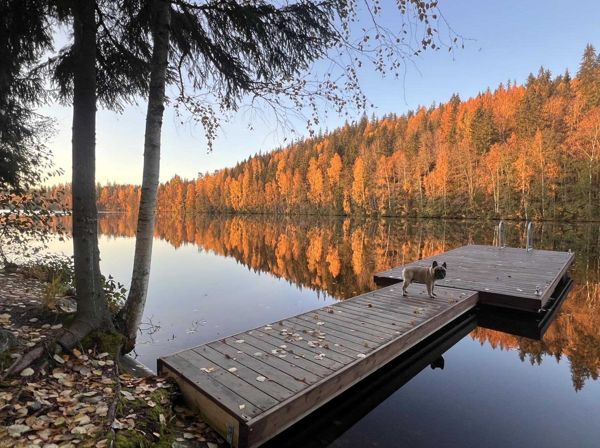 Iken Moekit Villa Heinola Exterior photo